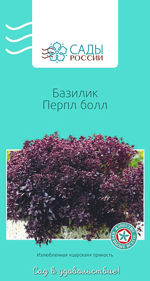 Базилик Перпл болл Базилик Перпл болл