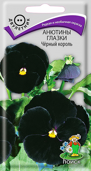 Семена Анютины глазки Черный король. Сорт с угольно-черными цветами. Растение с быстрым ростом, красиво и обильно облиственное, цветы крупные, на короткой и твердой цветоножке, высотой 15 см. Зимостойкое. Используют для клумб и бордюров, в цветники - группами.<br>
 <br>
 <br>
Растение отличается обильным цветением и морозостойкостью. Предпочитает солнечные места (но хорошо растет и в полутени), рыхлые, плодородные почвы. Размножают посевом семян в июле на разводочные гряды. Семена слегка присыпают землей. При температуре почвы +18°C всходы появляются на 10-15 день. Сеянцы пикируют в фазе 1-2-й пары настоящих листьев. В конце августа - начале сентября рассаду высаживают на постоянное место, выдерживая расстояние между растениями    15-20 см. Семена соответствуют требованиям международных стандартов и ГОСТу РФ 12260-81
