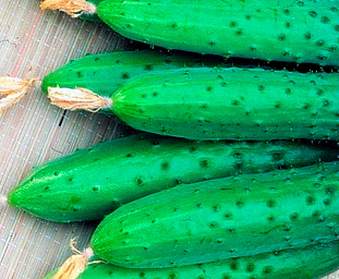 Семена Огурец Апрельский F1