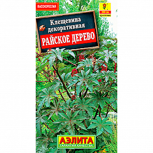 Семена Клещевина Райское дерево