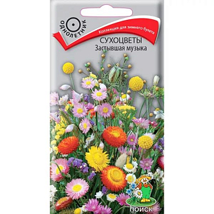 Сухоцветы Застывшая музыка Сухоцветы Застывшая музыка