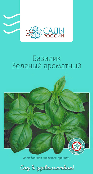 Базилик Зелёный ароматный