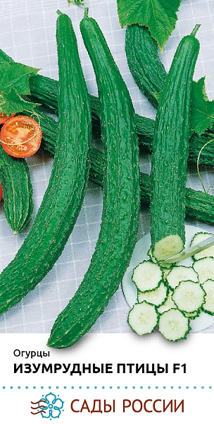 Семена Огурец Изумрудные птицы F1