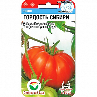 Семена Томат Гордость Сибири