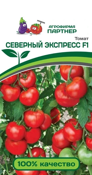 Семена Томат Северный экспресс двойной пакет