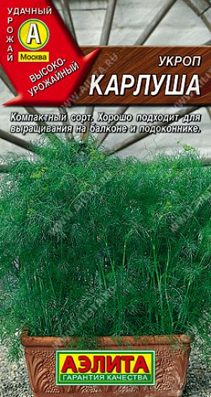 Укроп Карлуша Укроп Карлуша