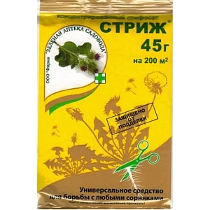 ЗАС Стриж