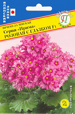 <div>
 Семена Примула мягкая Серия "Прима" Розовая с глазком F1.
</div>
Многолетник. Лидирующая серия на рынке среди F1 гибридов. Высота цветоноса 20-30 см, на каждом цветоносе около 10 цветков, расположенные ярусом. Цветки большие, плотные и с приятным ароматом. В целом растение компактное, однородное, выровненное по цветению.
Красочное растение для садов и двориков, контейнеров и вазонов. Примулы теневыносливы, влаголюбивы и морозоустойчивы. Почвы для примул нужны рыхлые, хорошо дренированные, умеренно влажные. Каждый год под кусты подсыпают рыхлой земли. В сухую, жаркую погоду растения поливают. Подкармливают весной полным минеральным удобрением 2-3 раза, после отцветания - азотным или органическим удобрением.
