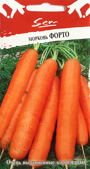 Семена Морковь Форто