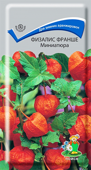 Семена Физалис Франше Миниатюра.
Растение с многочисленными побегами высотой 60 см. На одном побеге образуется до 10-12 оранжевых «фонариков». Цветет в июле-августе, плодоносит в сентябре-октябре. Используют для балконных ящиков, в миксбордерах и в зимних букетах. 
Агротехника. Растение зимостойкое. Предпочитает солнечное место, к почвам не требовательно. Размножают делением куста весной или осенью, черенками и семенами. Посев производят в грунт в начале мая или на рассаду в первой половине апреля. При температуре почвы +18°С всходы появляются через 20-30 дней. Расстояние между растениями при посадке 20 см. Семена соответствуют требованиям международных стандартов и ГОСТу РФ 12420-81.