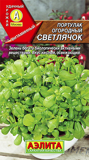 Семена Портулак Светлячок огородный.
Однолетнее овощное растение с сочными, мясистыми стеблями и листьями. Период от полных всходов до начала хозяйственной годности 25-30 дней. В пищу используют листья и верхние части молодых побегов в свежем виде. Масса одного растения 220-250 г, высота – 45-50 см. Урожайность зеленой массы 2,5 кг/м2. Зелень имеет хорошо выраженный кислый вкус, богата каротином, флавоноидами и другими биологически активными соединениями. Полезна при легкой форме сахарного диабета, заболеваниях печени и почек. Портулак предпочитает солнечные участки с плодородными, в меру влажными почвами. 
Агротехника. Посев семян в открытый грунт проводят в мае-июне на глубину не более 0,5 см, в рядки с междурядьями 40-60 см. После появления всходов растения прореживают, выдерживая расстояние 10-15 см. Первую срезку зелени проводят через 20-30 дней. За период вегетации делают 2-3 срезки до начала цветения.