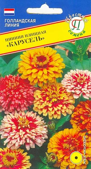 Семена Цинния изящная Карусель.
Однолетник. Среднерослый сорт циннии, высотой до 50 см. Соцветия большие, открытые, диаметром до 10-12 см, с контрастными разноцветными лепестками. Смесь имеет яркие, насыщенные цвета. Используют циннию в групповых посадках на клумбах, для устройства ярких цветочных клумб, миксбордеров, рабаток, альпийских горок. Идеально смотрится в сочетании с бархатцами, хризантемами и календулой. В срезке стоит 10-12 дней. Высевают на рассаду в конце марта - апреле либо сразу в грунт. При посеве на рассаду семена равномерно распределяют по поверхности влажного субстрата, присыпают тонким слоем вермикулита или компоста, накрывают прозрачным стеклом или плёнкой для поддержания влажности. Избегают переувлажнения. При температуре 20-22 градусов всходы появляются через 7-10 дней. После прорастания плёнку или стекло убирают. Выращивают на свету, но избегая попадания прямых солнечных лучей. Подросшие растения высаживают в конце мая - начале июня с шагом 20-30 см. В открытый грунт циннию высевают в середине мая, под плёнку на глубину до 1 см. После прорастания плёнку убирают, всходы прореживают. Теплолюбивое, засухоустойчивое растение, предпочитает солнечные места. Хорошо растет на рыхлых, хорошо дренированных (без застоя воды), плодородных почвах. В сухую, жаркую погоду растения поливают. Подкармливают раствором полного минерального удобрения каждые 4 недели. Цветение: с середины июля и до заморозков.