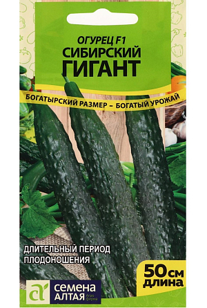 Семена Огурец Сибирский Гигант F1