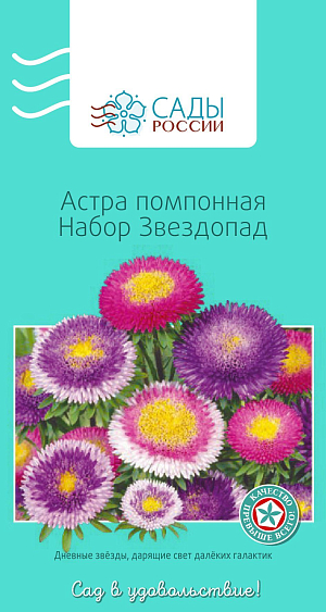 Астра Помпонная Звездопад набор

Привлекательна плотными плоскоокруглыми набивными соцветиями-подушечками. Окраска яркая, насыщенная, двуцветная, самая разнообразная. Куст колонновидный или пирамидальный, диаметр соцветий 6–8 см. Холодостойка, выносит слабые заморозки до −3 °С