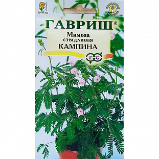 Семена Мимоза стыдливая Кампино