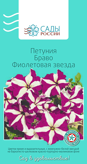 Петуния крупноцветковая Браво Фиолетовая звезда

Уникальная серия гибридных крупноцветковых петуний. Отличается ранним обильным и продолжительным цветением, выносливостью к погодным условиям и длине светового дня. Растения компактные, хороши как в открытом грунте, так и горшках. Теплолюбива. Рассаду высаживают в грунт после того, как минует угроза возвратных заморозков.
