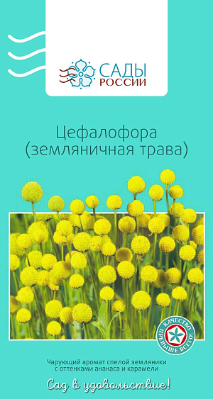 Цефалофора (земляничная трава) 


Восхитительная пряность. При этом цефалофора не только благоухает, но и радует глаз. Каждый стебелек увенчан ярко желтым сферическим соцветием, состоящим из множества сотообразных сегментов. Заготовку сырья проводят в фазу цветения, подойдет вся надземная часть растения. Цефалофора неприхотлива и засухоустойчива. 