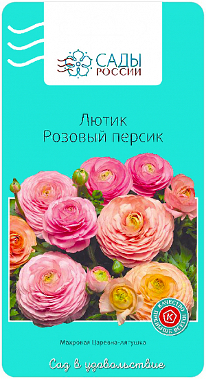 Семена Лютик Розовый персик.
Лютики азиатские или садовые – удивительные, очаровательные цветы, напоминающие маленькие розочки или слегка распустившиеся пионы. Они восхищают многих садоводов-любителей, и все же, остаются пока довольно редкими гостями на наших участках. Мало кто представляет, что ранункулюсы разных окрасок и оттенков в период массового цветения образуют необыкновенное по красоте море цветов. Самый простой и популярный метод размножения – отделение клубней, однако ранункулюсы можно вырастить и из семян. Причем лучшие современные разновидности и сорта возможно получить только этим способом. Задача эта решаемая как для опытных садоводов, так и для новичков. Свет, тепло и влага – основные условия их выращивания, неравнодушны к плодородию почвы и хорошо отзываются на подкормки. В вашем разноцветном ассортименте вполне можно узнать известных литературных героев с их характерными чертами.