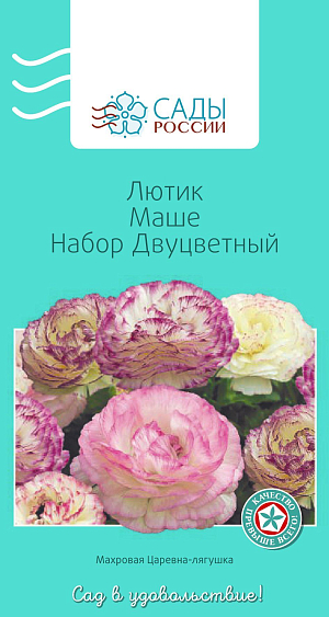 Лютик Маше Двуцветный

Лютики (ранункулюсы) азиатские, или садовые, – удивительные, очаровательные цветы, напоминающие маленькие розочки или слегка распустившиеся пионы. Они восхищают многих садоводов-любителей и всё же остаются пока довольно редкими гостями на наших участках. Ранункулюсы разных окрасок и оттенков в период массового цветения образуют необыкновенное по красоте море цветов.
Перед посевом семена замочить в воде на 2–4 часа. Для субстрата подойдет чернозем, обогащенный торфом. Также необходим дренажный слой и хорошее освещение сеянцев. Плохо переносит пересадки. Полив каждые 2–3 дня. Зацветает на следующий год. Теплолюбив, рассаду высаживают в грунт после того, как минует угроза возвратных заморозков.