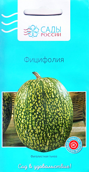 Семена Фицифолия (тыква фиголистная)