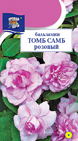 <p>
 Семена Бальзамин Том Самб розовый.
</p>
<p>
 Непревзойденное растение для полутенистых мест. Компактный куст с густой листвой, высотой около 20 см. Цветы очень изящные махровые розовые. Цветет обильно с июня по сентябрь. Используют для клумб, рабаток, на срезку и как горшечную культуру.
</p>
<p>
 Растение теплолюбивое, хорошо растет на открытых солнечных местах или в полутени. Обильно цветёт на лёгких, плодородных почвах. Посев семян производят в рассадные ящики в марте-апреле. Семена засыпают мелкозернистым песком слоем 3мм. и поддерживают постоянную влажность. При температуре почвы +18-20 °С всходы появляются через 15 дней. Сеянцы пикируют в горшочки по одному растению. В грунт высаживают по окончании заморозков с комом земли. Расстояние между растениями 15-20 см.
</p>