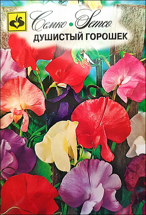 Семена Душистый горошек смесь.
Душистый горошек – однолетнее растение с лазящими стеблями высотой от 30 до 200 см. Используется для вертикального озеленения. Цветки довольно крупные с приятным тонким ароматом, собранные в изящные кисти по 3-12 цветков. Окраска их разнообразна. Растения холодостойки, светолюбивы, предпочитают богатые гумусом и кальцием, хорошо дренированные почвы. Выращивается посевом семян в грунт рано весной и рассадой. Цветет через 60-90 дней после появления всходов.