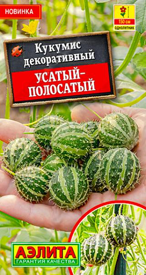 Семена кукумис декоративный Усатый полосатый.  Интересный сорт кукумиса для украшения беседок, терасс, лоджий и формирования растительных «ширм» в саду. Это однолетнее растение-лиана часто именуется декоративным огурцом, но употреблять его в пищу запрещено. Обилие побегов высотой до 1,5 м образует плотный покров зеленых листьев и ярких цветков. К завершению вегетации растение также не утрачивает эффектность благодаря формированию полосатых зеленых плодов длиной около 3 см. По мере созревания они приобретают желтый оттенок и покрываются красивыми шипами. Урожай используется для оформления декоративных композиций.<br>
 Возможно вырастить 20-25-дневную рассаду или использовать для посева пророщенные семена. Посевы (посадки) размещают на плодородных, рыхлых почвах с нейтральной кислотностью. Рекомендуются регулярные поливы теплой водой.<br>
<ul>
 <li></li>
</ul>
 <br>
 <br>
 <br>
 <br>
 <br>