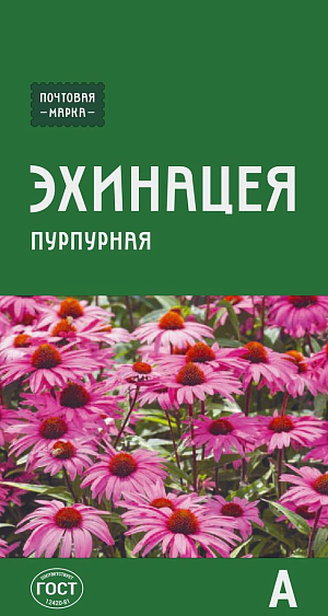Семена Эхинацея пурпурная

Растение прямостоячее с прикорневыми листьями и прочным цветоносом. Соцветия крупные, 7 см в диаметре, состоят из розово-пурпурных краевых цветков и коричнево-желтых срединных. Неприхотливо, засухоустойчиво, жаростойко. Куст в поперечнике до 40-50 см. Рекомендуется для групповых посадок и клумб из многолетников.