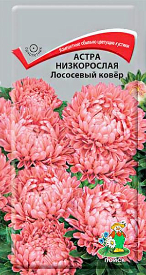 Семена Астра низкорослая Лососевый ковёр. Великолепное обилие крупных соцветий. Компактный куст высотой 25-30 см, диаметром 20-25 см, усыпан крупными махровыми лососевыми соцветиями диаметром 6-7 см. Листья темно-зеленые. Сорт устойчив к неблагоприятным погодным условиям. Цветет с середины лета до заморозков. Используют для бордюра, посадки в горшки и срезки.<br>
 <br>
 Агротехника. Растение предпочитает открытое солнечное место, но выносит и полутень. Лучше растет на легких, плодородных почвах. Не переносит внесения органических удобрений в год посадки. Семена высевают с середины февраля по апрель. Глубина заделки семян 0,5 см. При температуре почвы +20°C всходы появляются на 7-14 день. Через 3-4 недели посевы пикируют и выращивают при температуре +12-15°C. В грунт рассаду высаживают во второй половине мая, выдерживая расстояние между растениями 20-25 см.