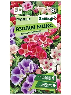 Годезия Алазия микс