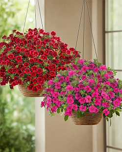 Набор калибрахоа №2