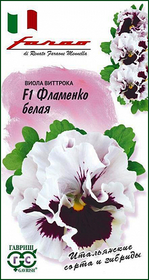 <div>
 Семена Виола Фламенко белая F1.
</div>
 <article>
<p>
 Завораживающая по красоте крупноцветковая виола из итальянской серии «F1 Фламенко»! Растение двулетнее. Кустик компактный, хорошо разветвленный, с махровыми и полумахровыми цветами диаметром 5-7 см. Окраска лепестков необычная: от темно-бардового до нежнейшего белого. Цветет обильно и продолжительно с мая по сентябрь.  Раннее цветение сочетается с удивительной стойкостью к неблагоприятным погодным условиям. 
</p>
<p>
 Прекрасно подойдет для украшения балконов, контейнеров, садовых ваз, клумб и рабаток. Растение влаголюбивое, холодостойкое, хорошо растет на солнце и в полутени. Для получения растений, цветущих в год посева, семена высевают на рассаду в феврале-марте. Всходы появляются через 5-7 дней. В открытый грунт рассаду высаживают в конце апреля-начале мая на расстоянии 15-20 см. Хорошо переносят пересадку в цветущем состоянии. При посеве в открытый грунт в июне-июле, цветение наступает во второй год.
</p>
 </article>