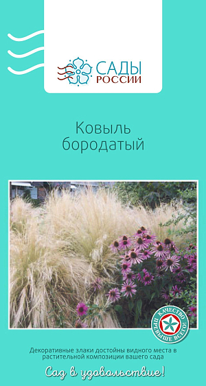 Ковыль Бородатый

Многолетнее очень эффектное растение. Мягкие шелковистые волны при групповой посадке или фонтаны одиночных растений, колеблющиеся от малейшего ветерка, одинаково завораживают. Узкие сизо-зеленые листья и светлая, сильно опушенная метелка длиной 30 см.