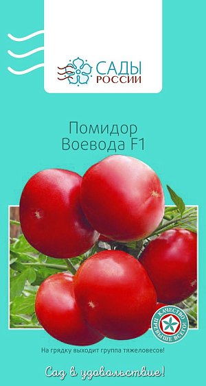 Семена Томат Воевода F1