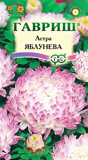 Семена Астра Яблунева.
Растение с 10-12 цветоносами, высотой 65 см. Соцветия пионовидные, округлые, оригинальной окраски: расположенные в центре цветки белые, краевые с легким малиновым напылением. Одновременно цветут 8-10 соцветий. Для выращивания подходят хорошо освещенные участки с плодородной суглинистой или супесчаной почвой. Астры обладают высокой холодостойкостью – хорошо переносят заморозки до -3-4°C. Выращивают, чаще всего, рассадным способом. Семена высевают в марте-апреле, пикируют с развитием первой пары настоящих листочков по схеме 5х5 см, в открытый грунт рассаду высаживают с середины мая до начала июня. Возможен подзимний посев астр: в конце октября на глубину 5-8 см. Сверху посевы мульчируют торфом или опилками на высоту 3-5 см. Весной (в конце марта-начале апреля) посевы раскрывают. Появившиеся в конце апреля всходы будут закаленными, а выросшие растения сильными, устойчивыми к заморозкам и обильно цвести. Используются для получения срезки и оформления участка.