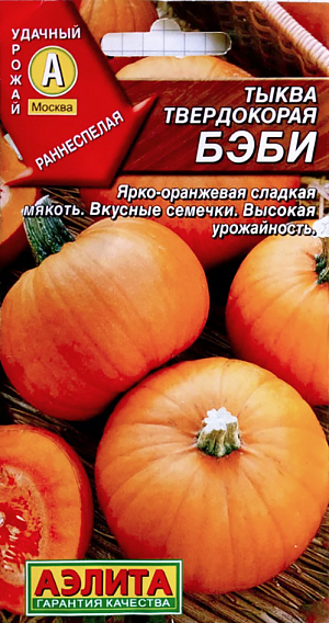 Семена Тыква твердокороя Бэби