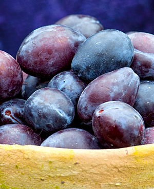 Саженцы Слива Синяя птица