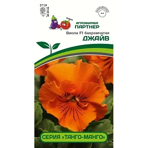 Усовершенствованную бахромчатую виолу с волшебными цветками заметят все! В нынешнем сезоне заблистала танцевальная серия «Танго-Манго», которая непременно закружит многочисленными воланами рюшистых юбок в самом ритмичном танце – танце цветов. Не коронка, а настоящая гофрированная юбочка-пачка, декору которой позавидует любая модница. При всей своей воздушности, является стойким созданием: растения хорошо переносят ветра и дожди, отличаются холодостойкостью и устойчивостью к болезням. Гибрид не особо стремится разрастаться, а цвести жаждет до глубокой осени, выставляя напоказ целый букет чудо-цветков. Данная серия была выведена специально для корзин и контейнеров, а также для оформления городских территорий и клумб, где важна устойчивость и предъявляются высочайшие требования к внешнему виду растений. Нарядные ансамбли с участием «анюток» в контейнерном декоре позволят превратить террасу или балкон в настоящий райский уголок. А ароматные цветки на крепких цветоносах прекрасно подойдут для создания миниатюрных букетов и небольших композиций, которые можно дарить, не имея для этого особого повода! Рекомендуем объем кашпо 2-3 л на одно растение и схему посадки в грунте — 20х20 см.
Практический совет:
- перед посевом необходимо провести обеззараживание почвы;
- для весенне-летнего цветения посев на рассаду рекомендуем проводить с декабря по апрель;
- семена располагайте по поверхности увлажненной почвы, слегка присыпая грунтом; емкости накройте стеклом или пленкой и содержите посевы при температуре +15°+17°С градусов (при температуре выше +25°С процесс прорастания замедляется или прекращается вовсе); следите за влажностью посевов и их проветриванием.
- для цветения на второй год – рекомендуем проводить посев в открытый грунт в июле-августе.
До момента посева семена хранить в холодильнике (+3° -+5°С)!