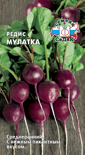 Семена Редис Мулатка