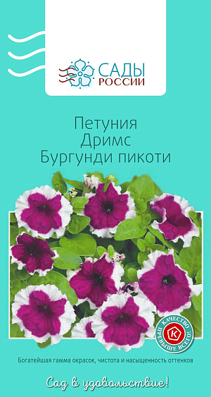 Петуния Дримс Бургунди пикоти

Крупноцветковая петуния серии «Дримс» удачно сочетает обильное цветение и крупные, до 12 см в диаметре, цветки. «Пикоти» означает, что по краю цветка идет контрастная белая кайма. Растения компактные, хорошо разрастаются. Рассаду высаживают в грунт после того, как минует угроза возвратных заморозков.