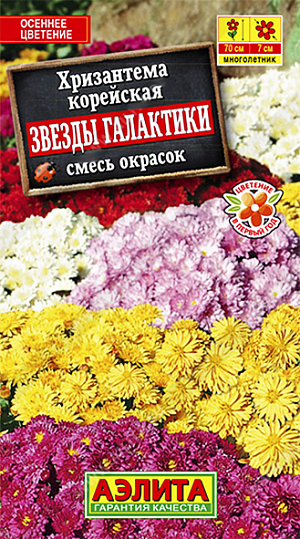 Семена Хризантема Звезды галактики.  Хризантемы – лучшее украшение сада на финише сезона. Яркие, махровые соцветия  диаметром 6-7 см. в изобилии появляются с августа до устойчивых осенних заморозков. Кусты прочные, высотой до 60 см, компактные, ветвистые. Используются в сборных цветниках, рабатках, для выращивания в контейнерах. Прекрасно подходят для срезки.<br>
 <br>
 <br>
 <br>
 <br>