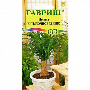 Семена Нолина Бутылочное дерево Семена Нолина Бутылочное дерево