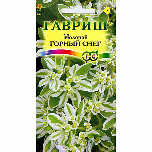 Семена Молочай окаймленный Горный снег