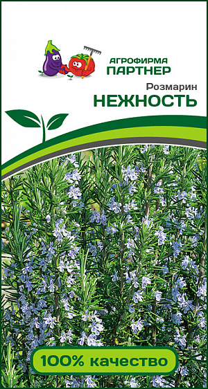 Розмарин Нежность