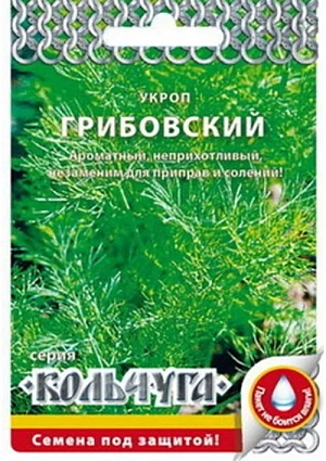 Укроп Грибовский Кольчуга