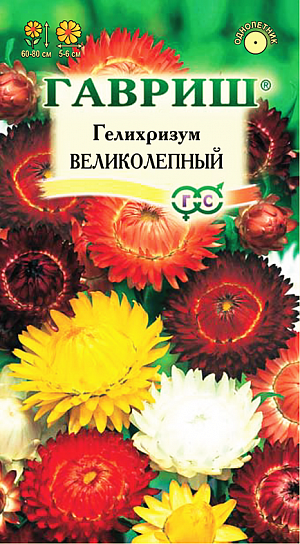 <div>
 Семена Гелихризум Великолепнаясмесь.
</div>
Травянистое растение семейства Астровые. Кусты слегка раскидистые, достигают 60-80 см высоты. Цветки собраны в соцветия — корзинки, имеющие очень яркие и многочисленные листочки обертки белой, розовой, желтой, оранжевой или красной окраски разнообразных оттенков. Цветет обильно с июля до заморозков. Предпочитает открытые солнечные места. Размножают семенами, которые высевают в конце марта — начале апреля на рассаду. Всходы появляются через неделю после посева. На постоянное место рассаду высаживают после весенних заморозков, выдерживая расстояние между растениями 25-30 см. Используется в озеленении (клумбах, рабатках), а также на срезку в качестве лучшего сухоцвета.