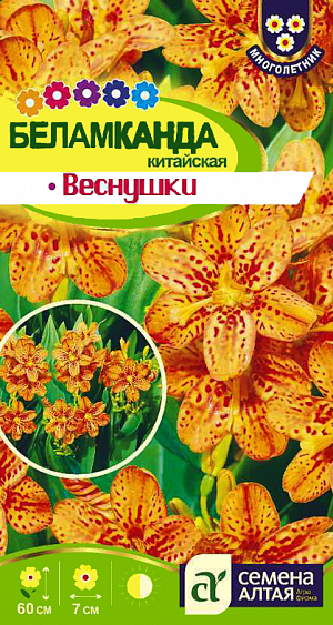 <div>
 Семена Беламканда китайская Веснушки.
</div>
Красивоцветущий декоративный многолетник. Второе название – цветок леопарда. Растение с необычными цветками желтовато-оранжевой окраски с темно-пурпурными пятнышками. Высота растения до 60 см. Цветки крупные, 5–7 см в диаметре. Цветет с конца июня и до конца августа. Используют для групповых посадок на газонах, в смешанных бордюрах и вблизи водоемов, для обрамления опушек, смешанных цветочных рабаток. Можно выращивать и как горшечное растение. Предпочитает полутень, защищенные от ветра места и легкие дренированные увлажненные почвы с повышенным содержанием гумуса. Засухоустойчива.
