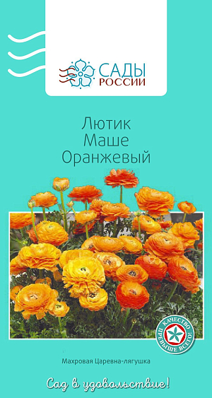 Лютик Маше Оранжевый

Лютики (ранункулюсы) азиатские, или садовые, – удивительные, очаровательные цветы, напоминающие маленькие розочки или слегка распустившиеся пионы. Они восхищают многих садоводов-любителей и всё же остаются пока довольно редкими гостями на наших участках. Ранункулюсы разных окрасок и оттенков в период массового цветения образуют необыкновенное по красоте море цветов.
Перед посевом семена замочить в воде на 2–4 часа. Для субстрата подойдет чернозем, обогащенный торфом. Также необходим дренажный слой и хорошее освещение сеянцев. Плохо переносит пересадки. Полив каждые 2–3 дня. Зацветает на следующий год. Теплолюбив, рассаду высаживают в грунт после того, как минует угроза возвратных заморозков.