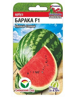 Арбуз Барака F1
