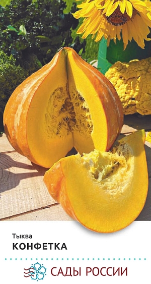 Тыква Конфетка F1 6шт